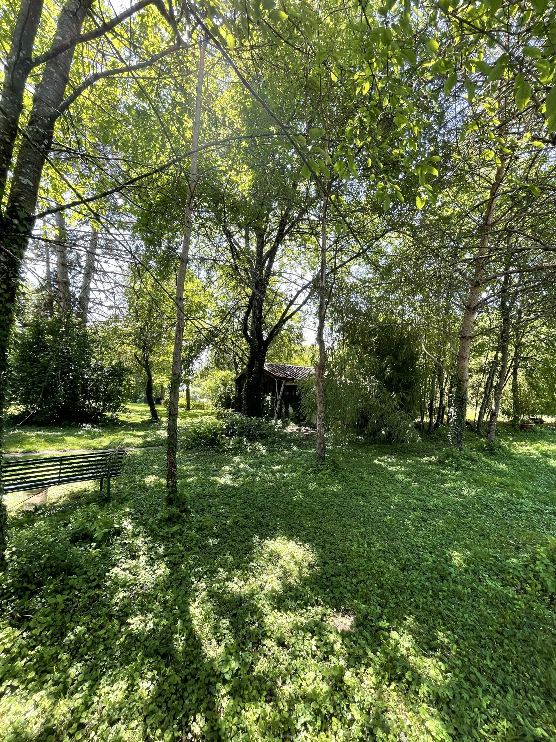 Le dojo dans son nid de verdure